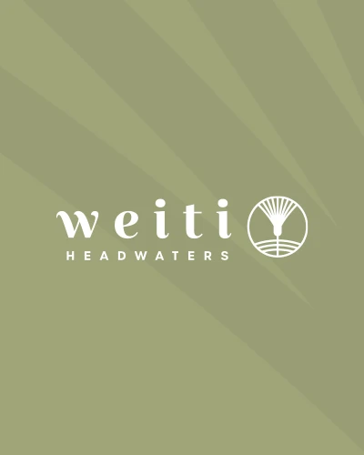 logo brand design weiti headwaters