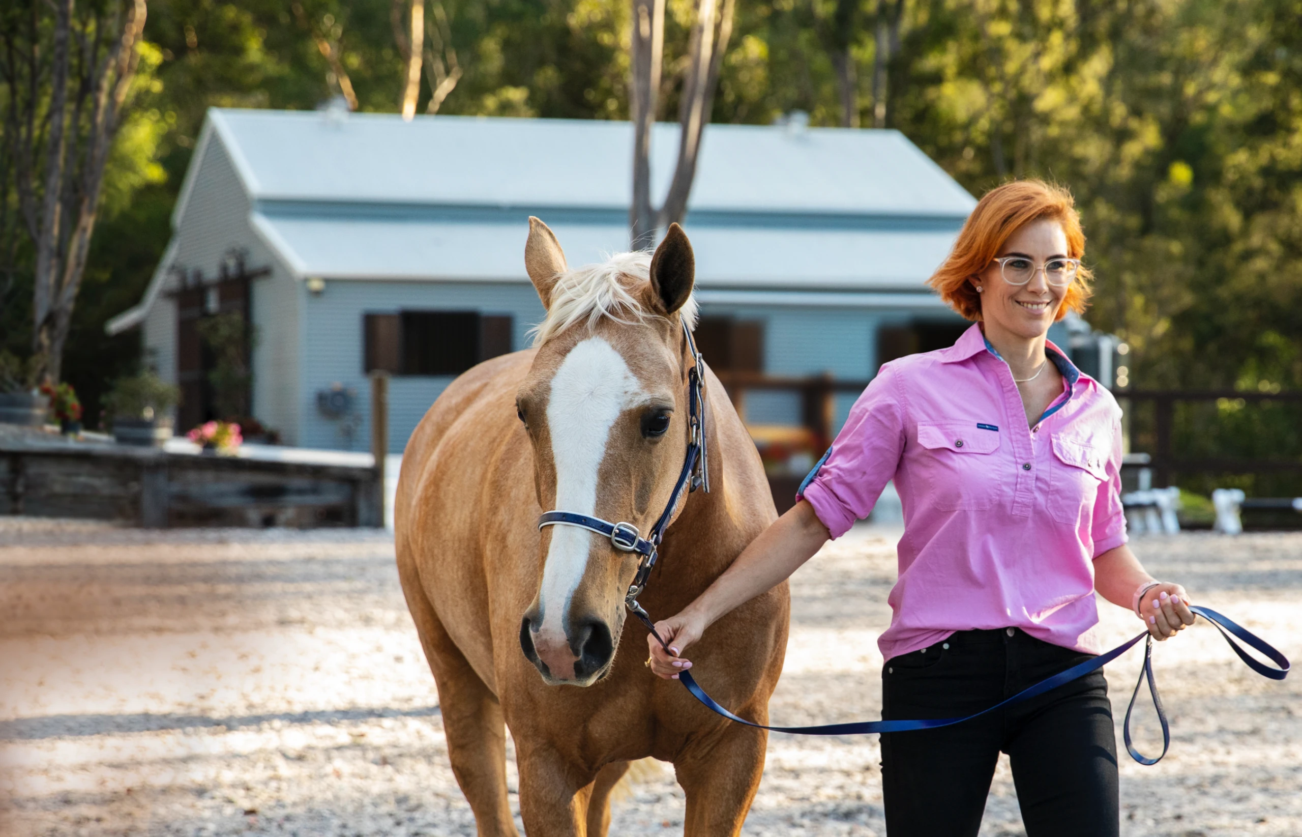 website design fair dinkum builds