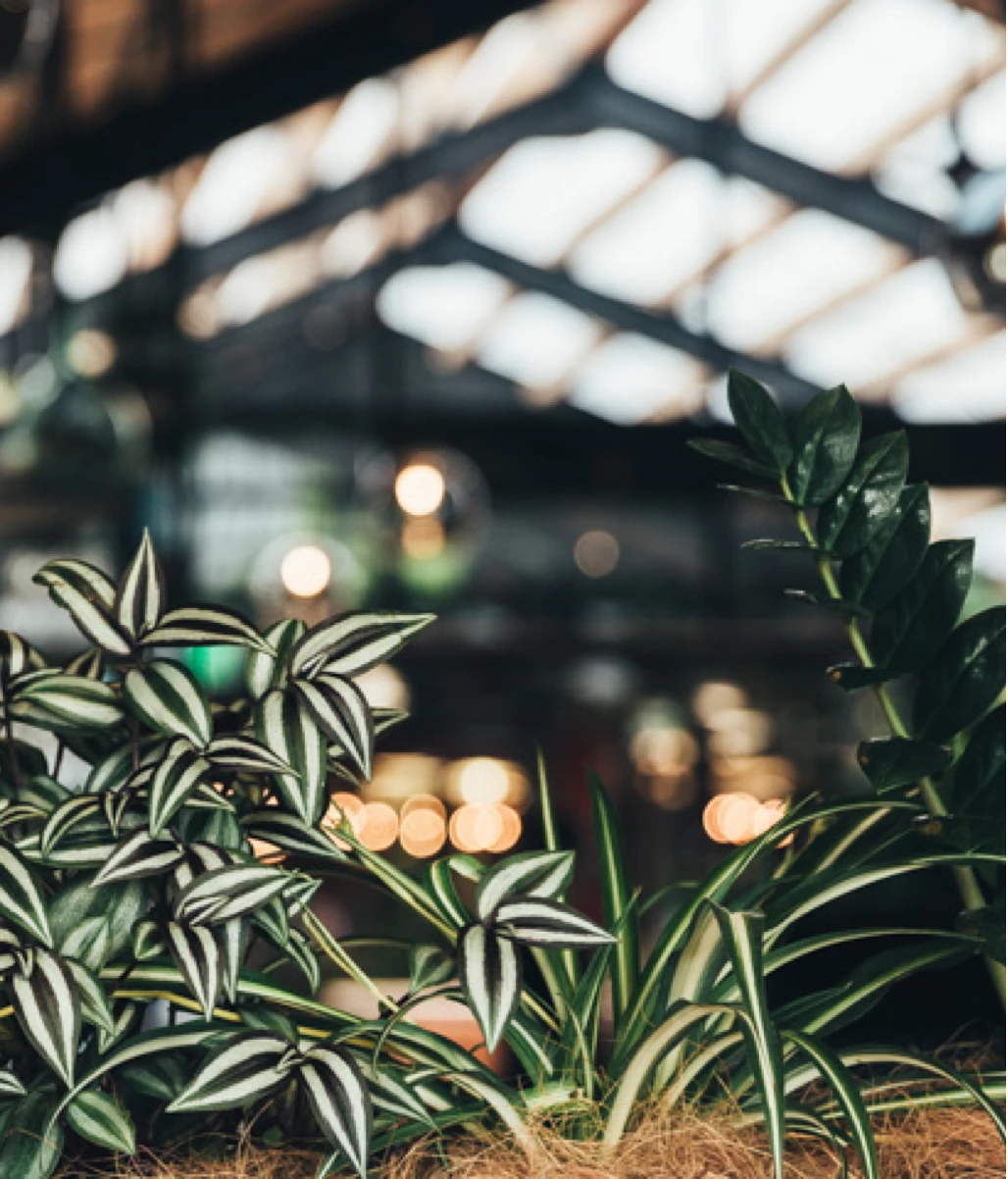 branding the grange interior