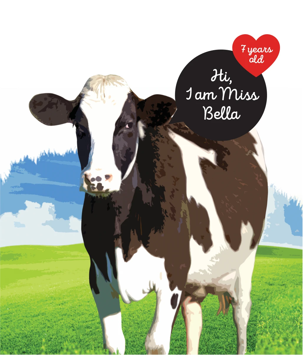 hart dairy illustration graphic