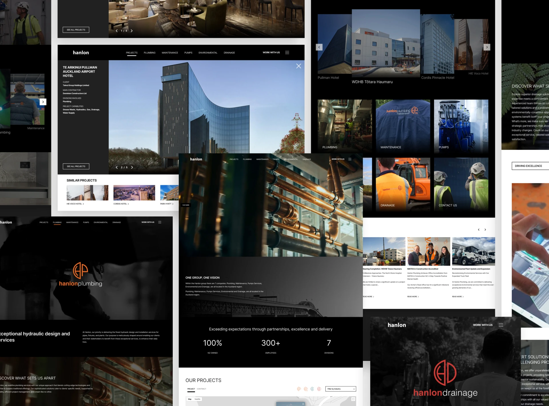 web design silverstripe5 hanlon